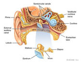 Ωτοχειρουργική Μεθοδολογία: Περιγραφή νέας χειρουργικής τεχνικής